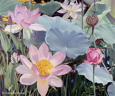 SERENA ROSE Lotus Garden Art Print